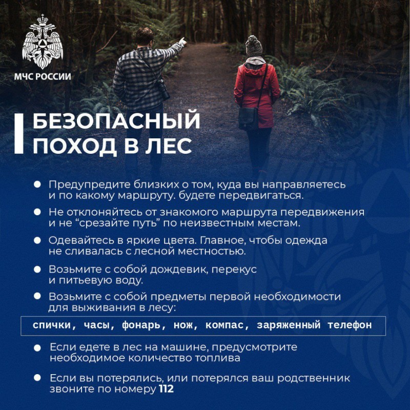 Безопасный поход в лес
